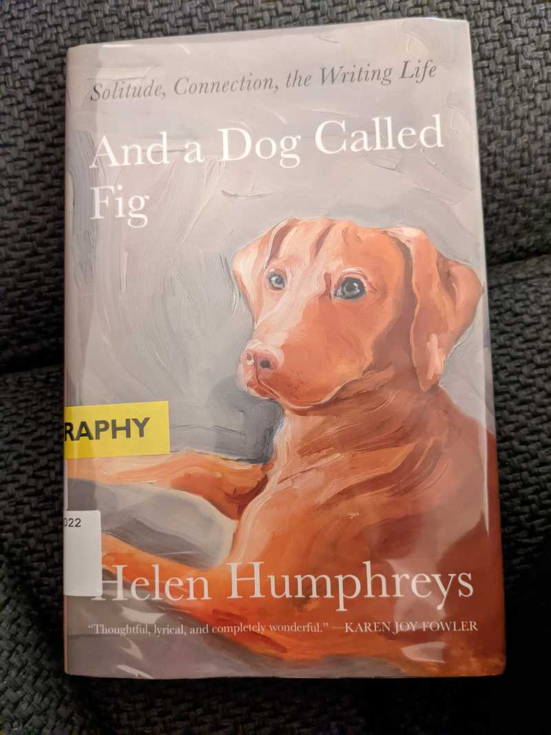Book Cover of And a dog called Fig